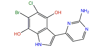 Meridianin T